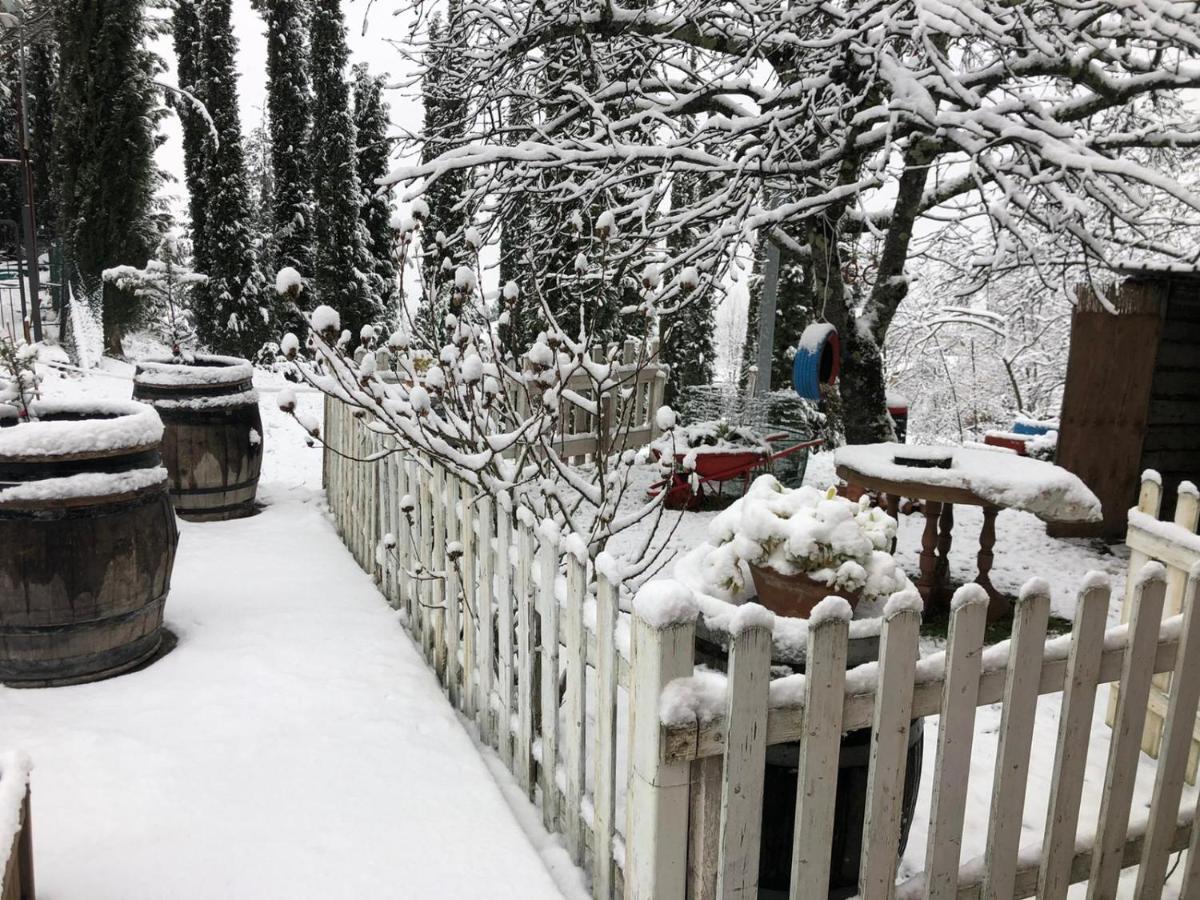 La Casa Di Nonno Apartment Pelago ภายนอก รูปภาพ